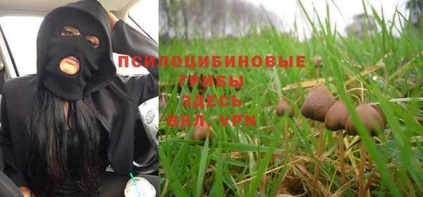 каннабис Алзамай